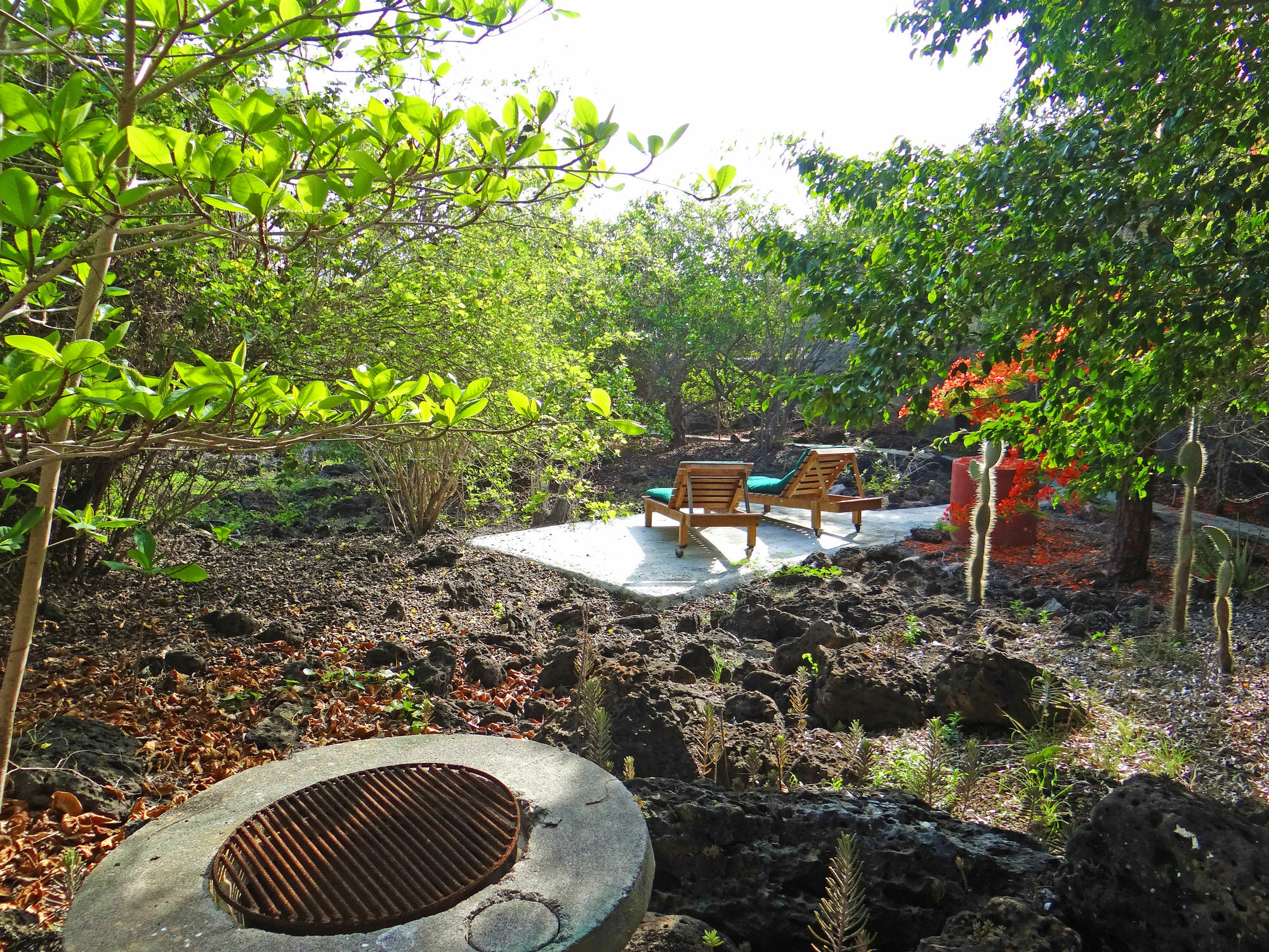 Galapagos Chalet Puerto Ayora  Dış mekan fotoğraf
