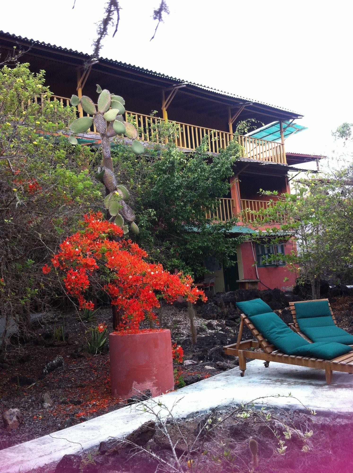 Galapagos Chalet Puerto Ayora  Dış mekan fotoğraf