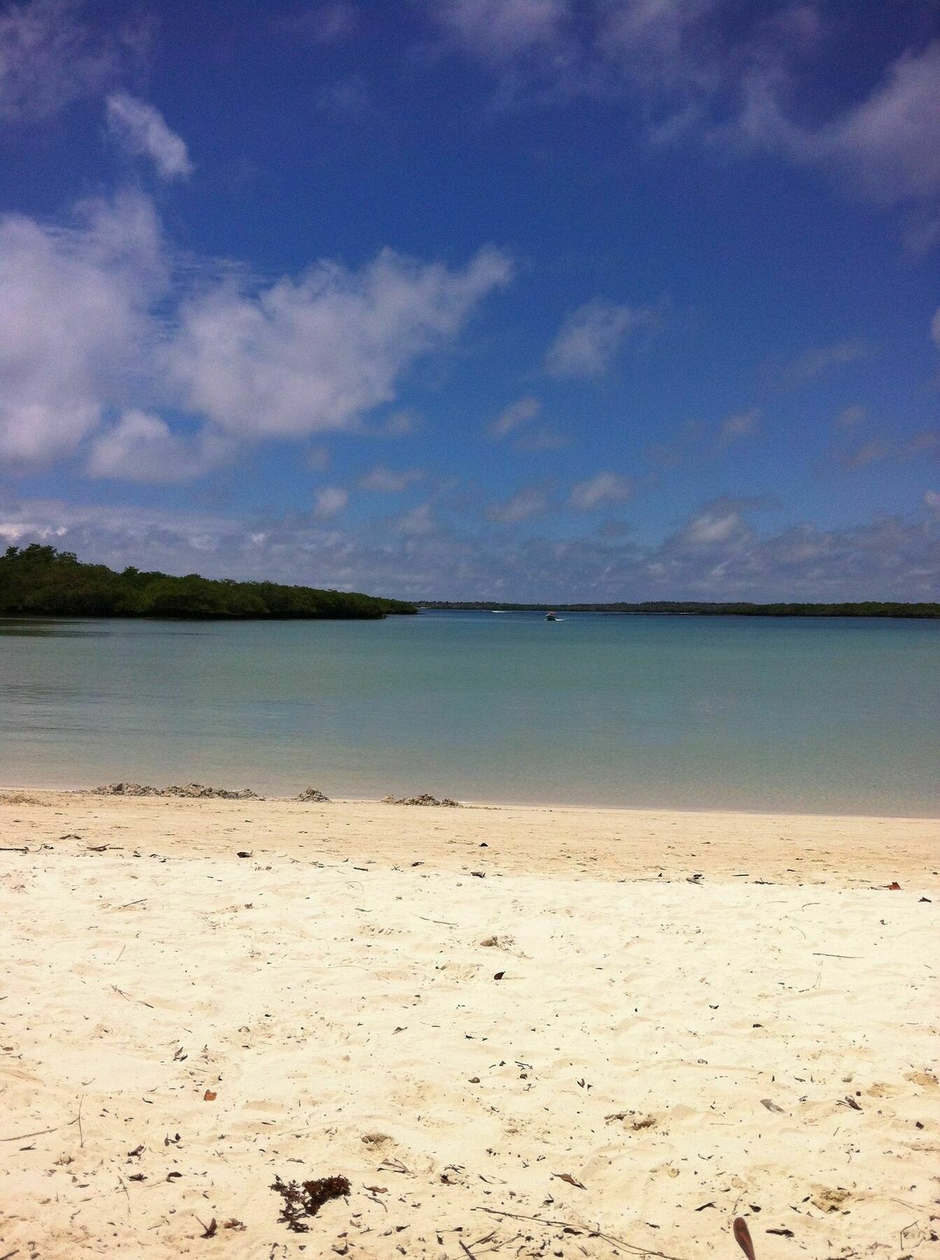 Galapagos Chalet Puerto Ayora  Dış mekan fotoğraf